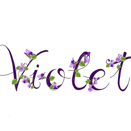 Appartamento Violet - パルマ エクステリア 写真